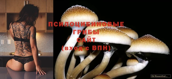 кокаин VHQ Дмитриев